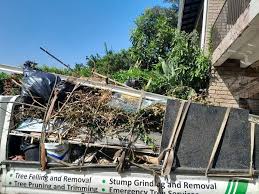 Demolition Debris Removal in De Queen, AR